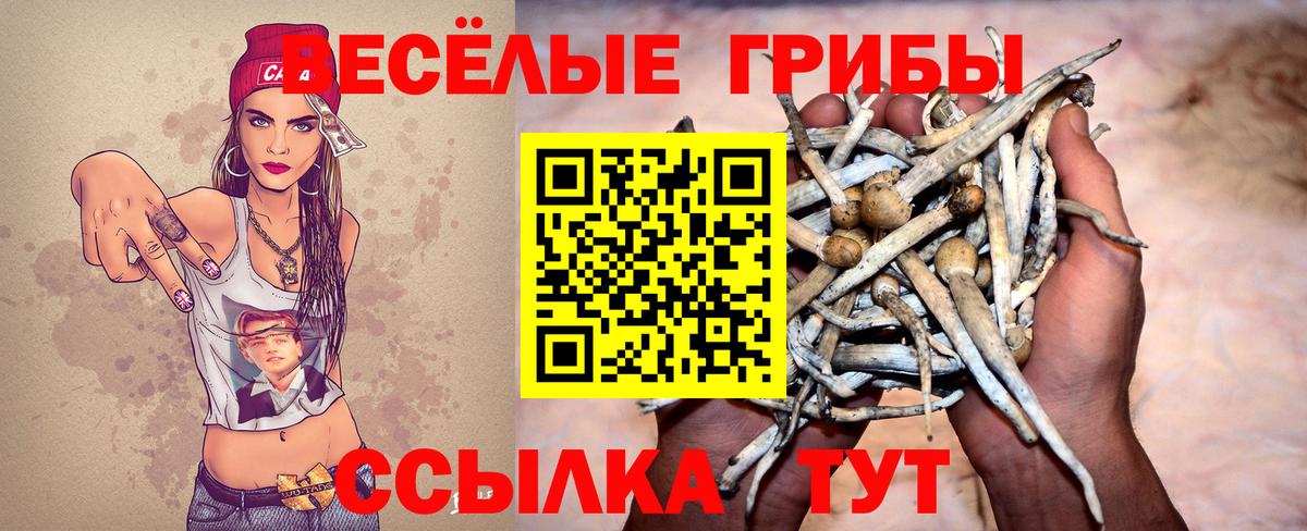 Галлюциногенные грибы Psilocybe  Псилоцибиновые грибы Psilocybine cubensis  наркошоп  Вход с VPN  Фролово 
